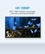 Vention HDMI Female to DVI 24+1 Male Adaptor (Dual Direction) ECDB0 - Image 3