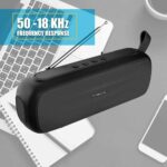 SonicGear P8000 TWS BT /FM/USB/ SD Speaker Black - Image 2
